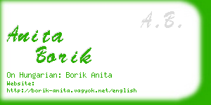 anita borik business card
